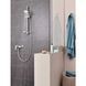 Душовий гарнітур Grohe New Tempesta 100 27926001 CV030547 фото 4